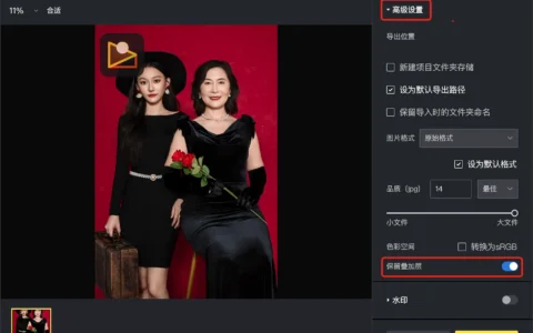 联机拍摄时添加的叠加层在导出后消失是什么原因？