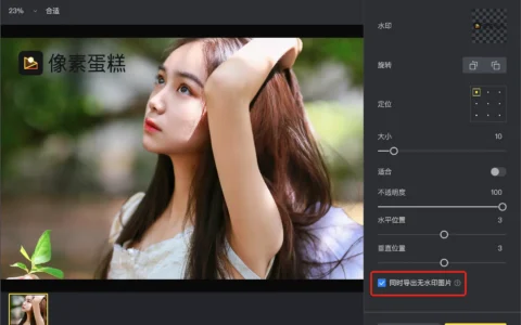 如何同时导出带水印和不带水印的图片？