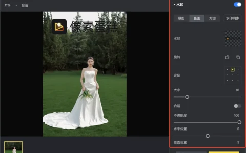 像素蛋糕导出图片怎么设置？参数说明与使用建议
