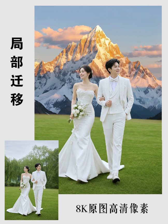 局部迁移效果封面