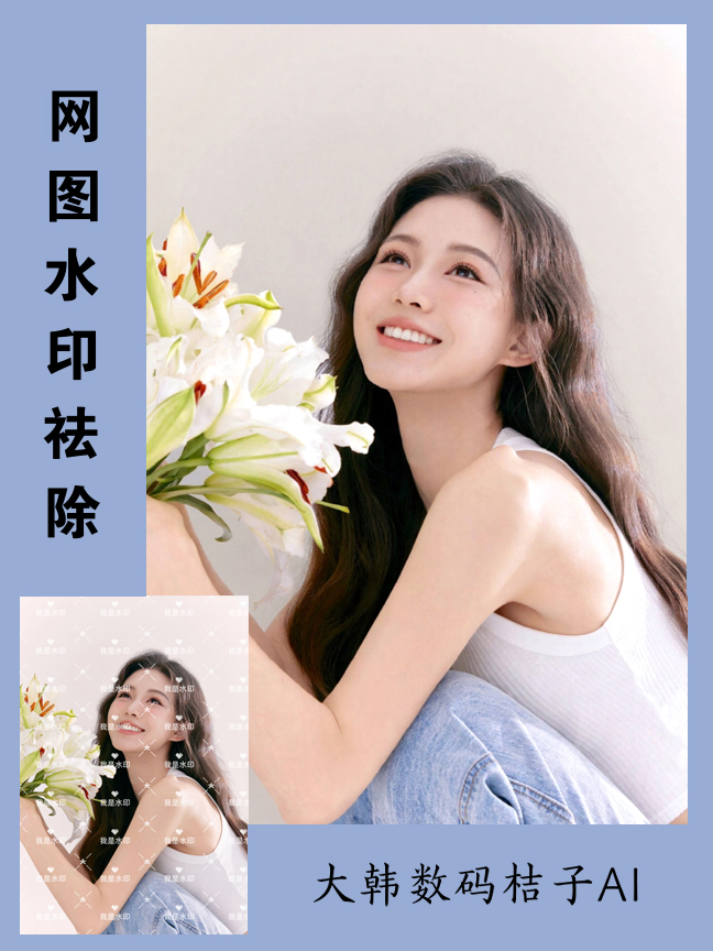 网图水印祛除效果封面