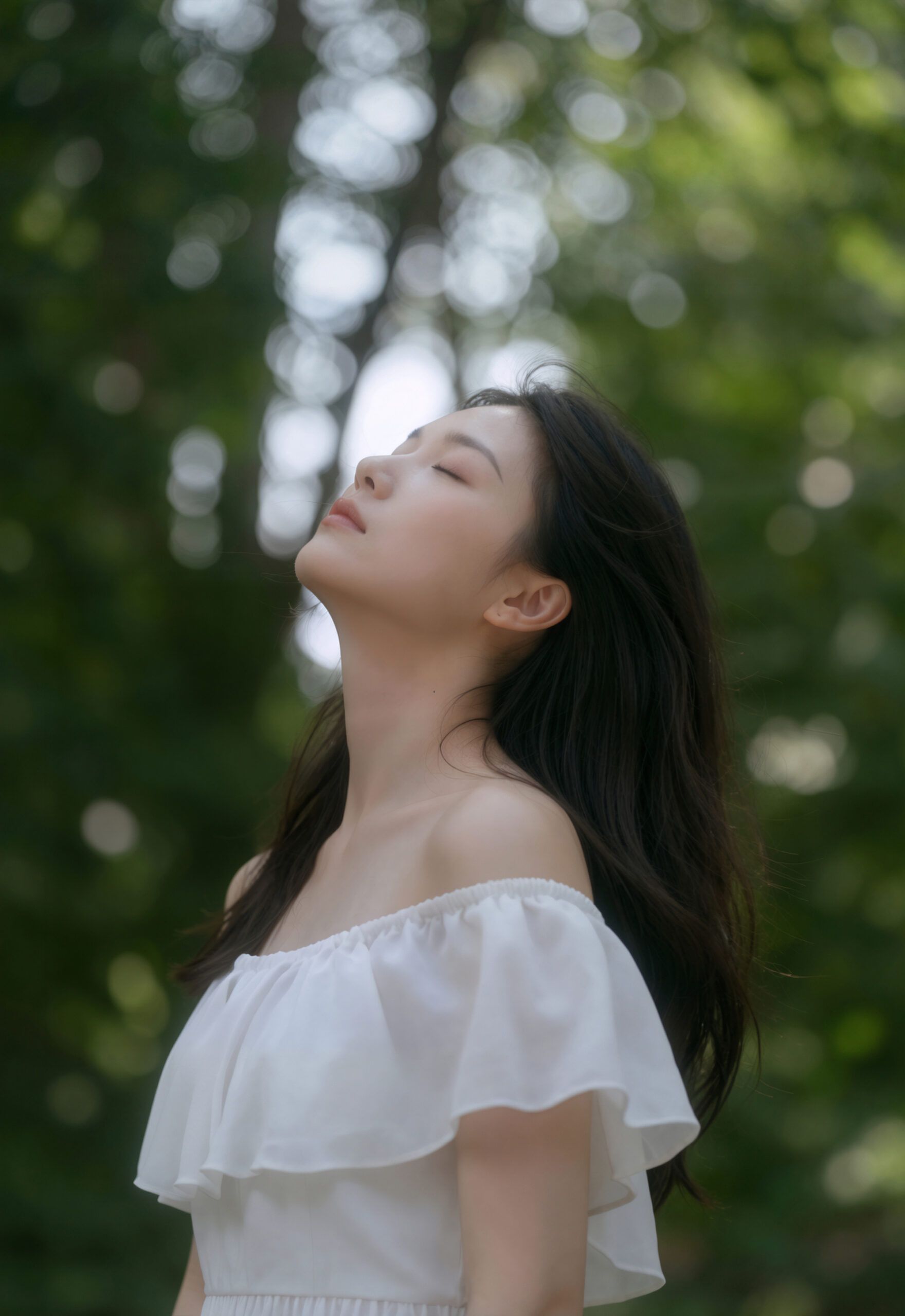 输入图 · 原始素材