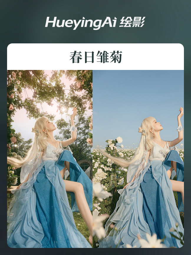 春日雏菊效果封面