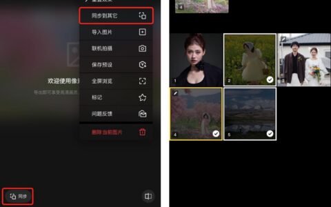 像素蛋糕 iPhone版：批量应用效果至其他照片