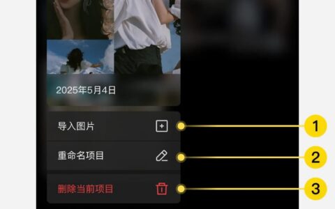 像素蛋糕 Android版：管理项目