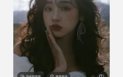 像素蛋糕 Android版：预设