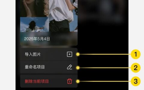 像素蛋糕 iPhone版：管理项目