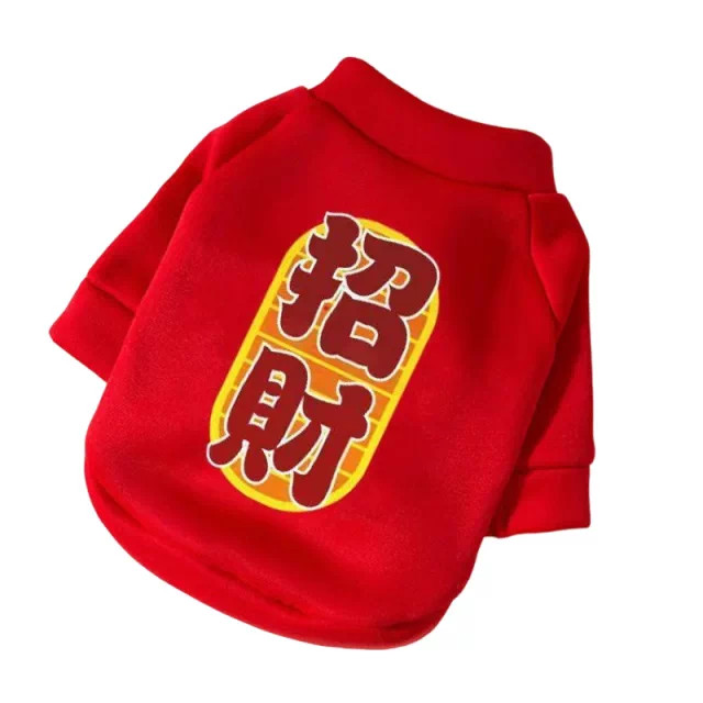 宠物换装效果示例 2